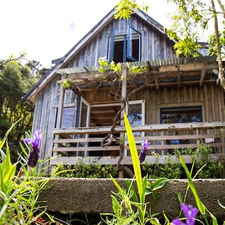 Fern Lodge Coromandel Экстерьер фото