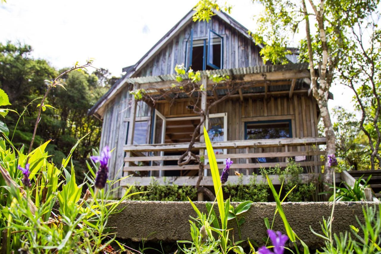 Fern Lodge Coromandel Экстерьер фото